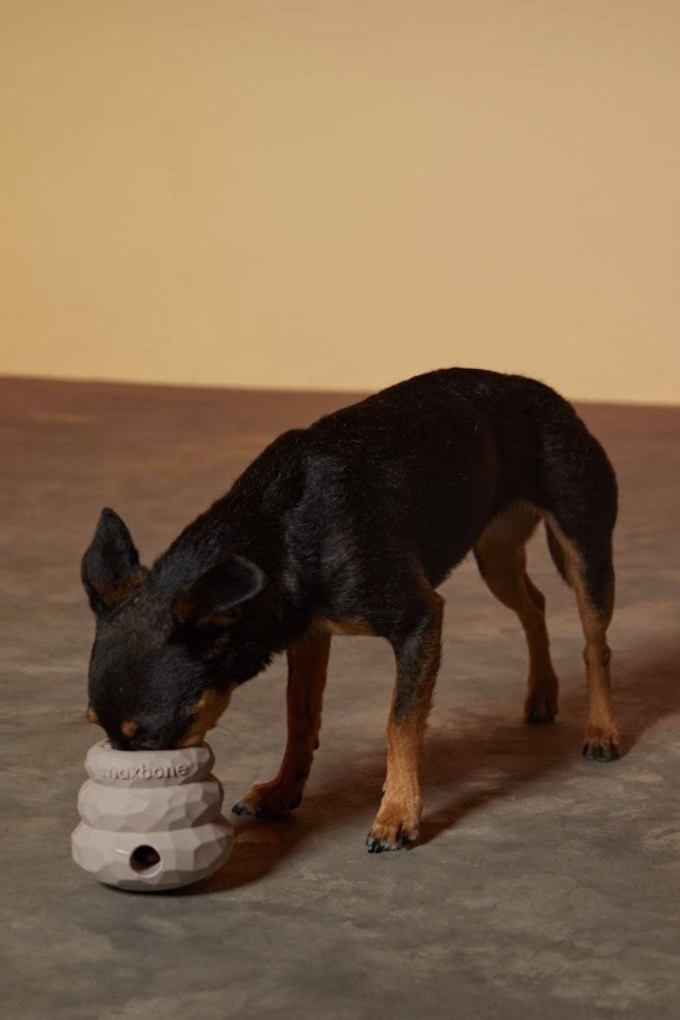 maxbone - Wholesale Pet Chew Toy - Dog - Honeycomb Balance Dog Toy3