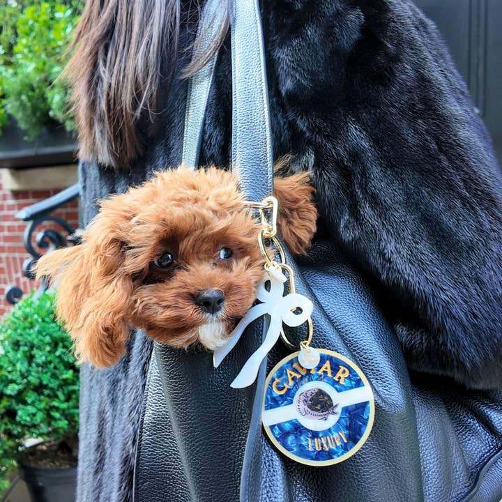 Solar Eclipse - Vente Porte-clés – femme - Porte-clés + Charme de Sac Caviar Peint à la Main3