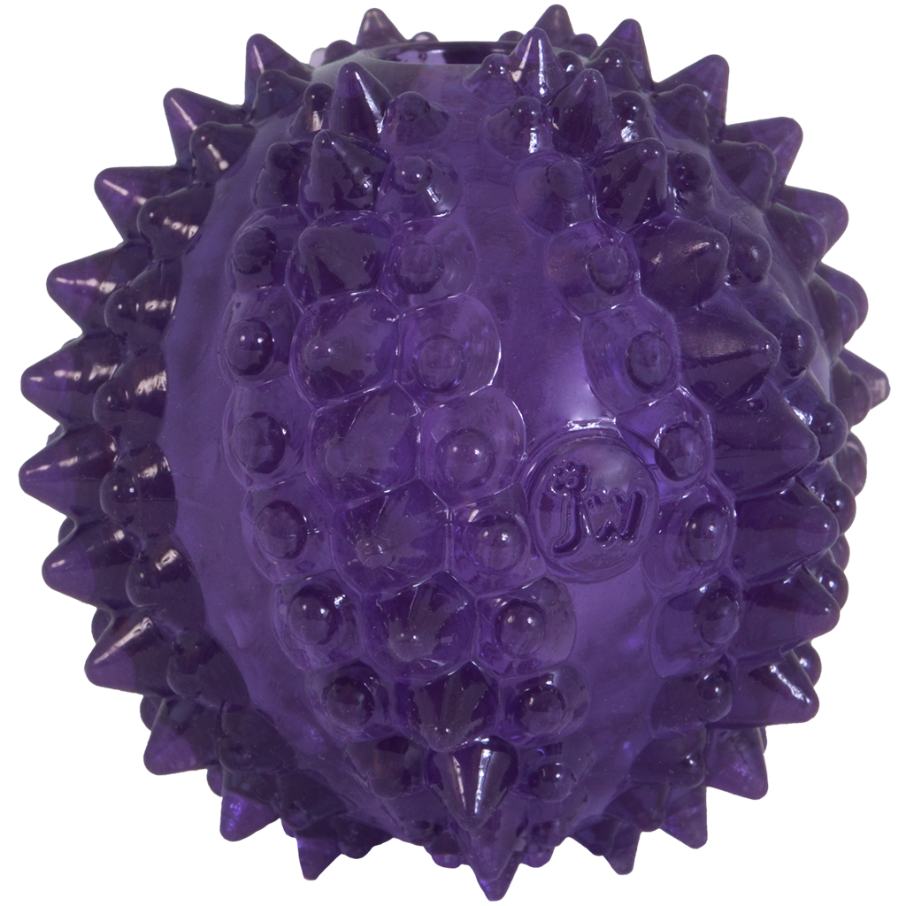 Hofman Animal Care - Wholesale Pet Chew Toy - Dog - JW Bristl-ee Cactus Ball0