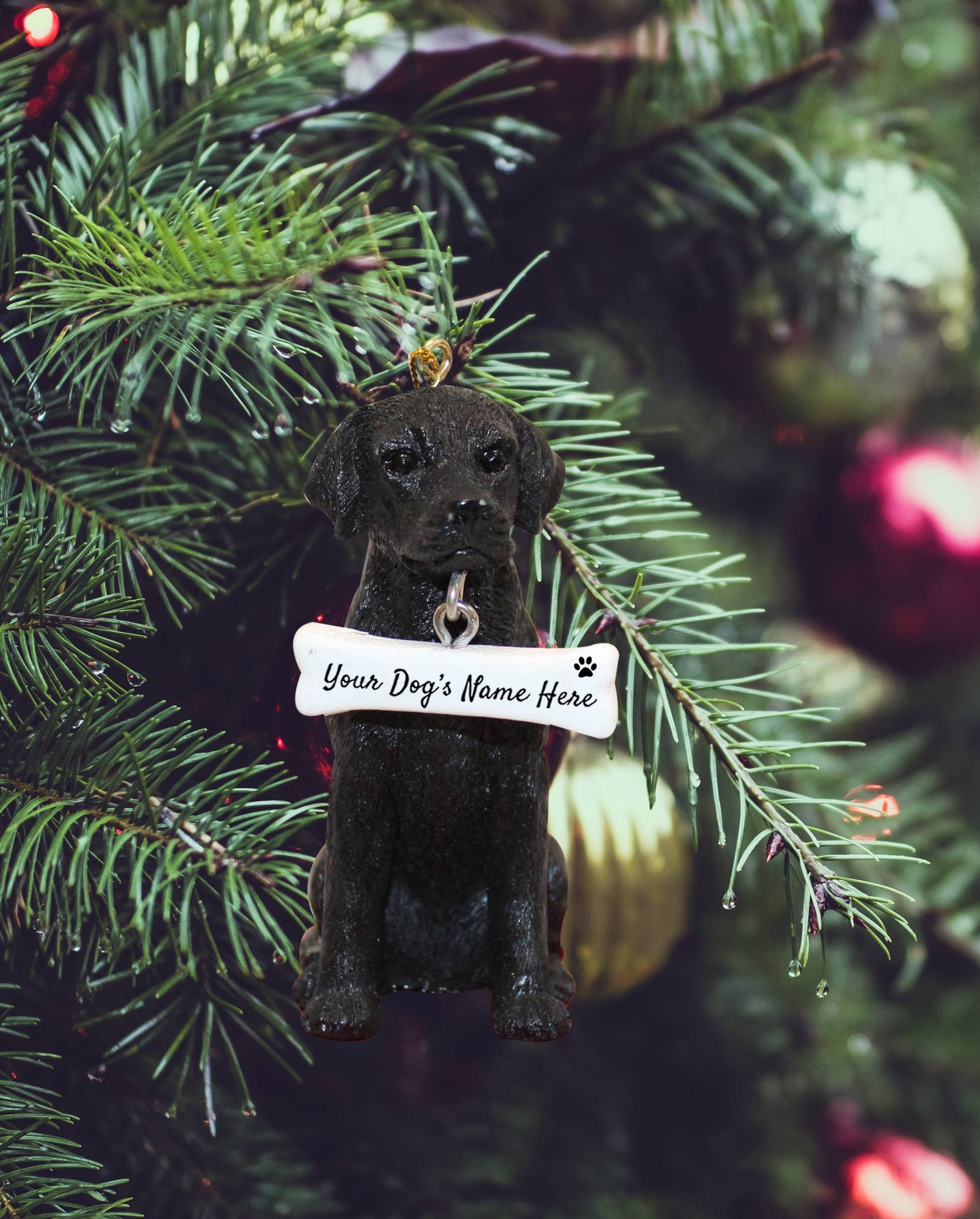 E&S Pets – Großhandel Verzierung – Labrador, schwarzes Hundeknochenornament