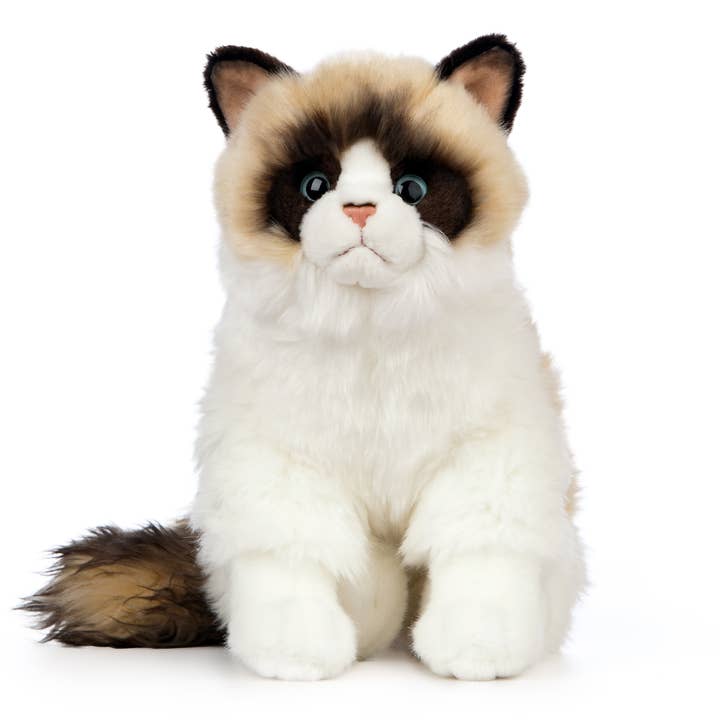 Keycraft - Wholesale Stuffed/Plush Toy - Kids & Baby - Living Nature Ragdoll Cat Plush Stuffed Animal Toy
