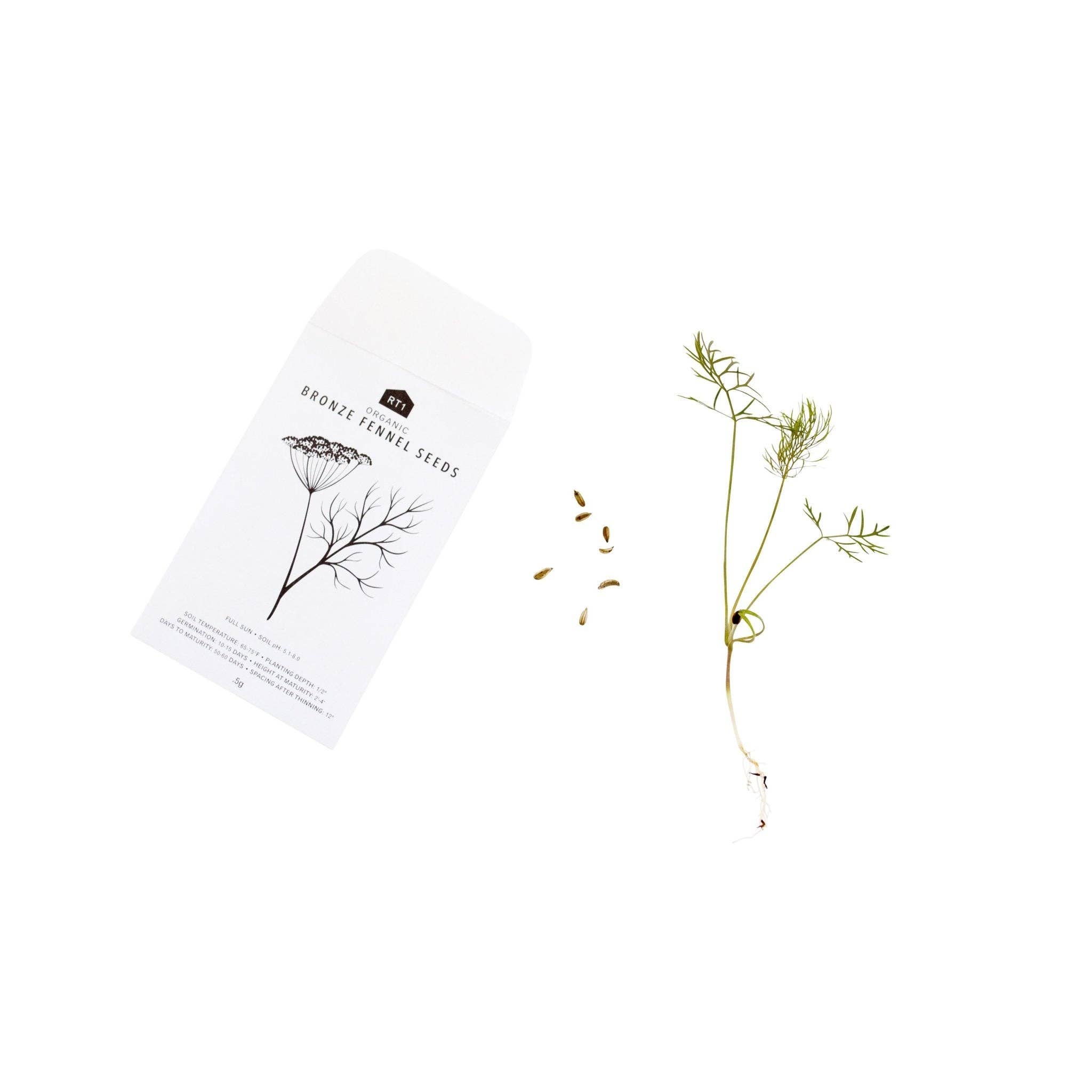 RT1home - Vente Graines de plantes - Graines d’herbes culinaires II - Lot de 53