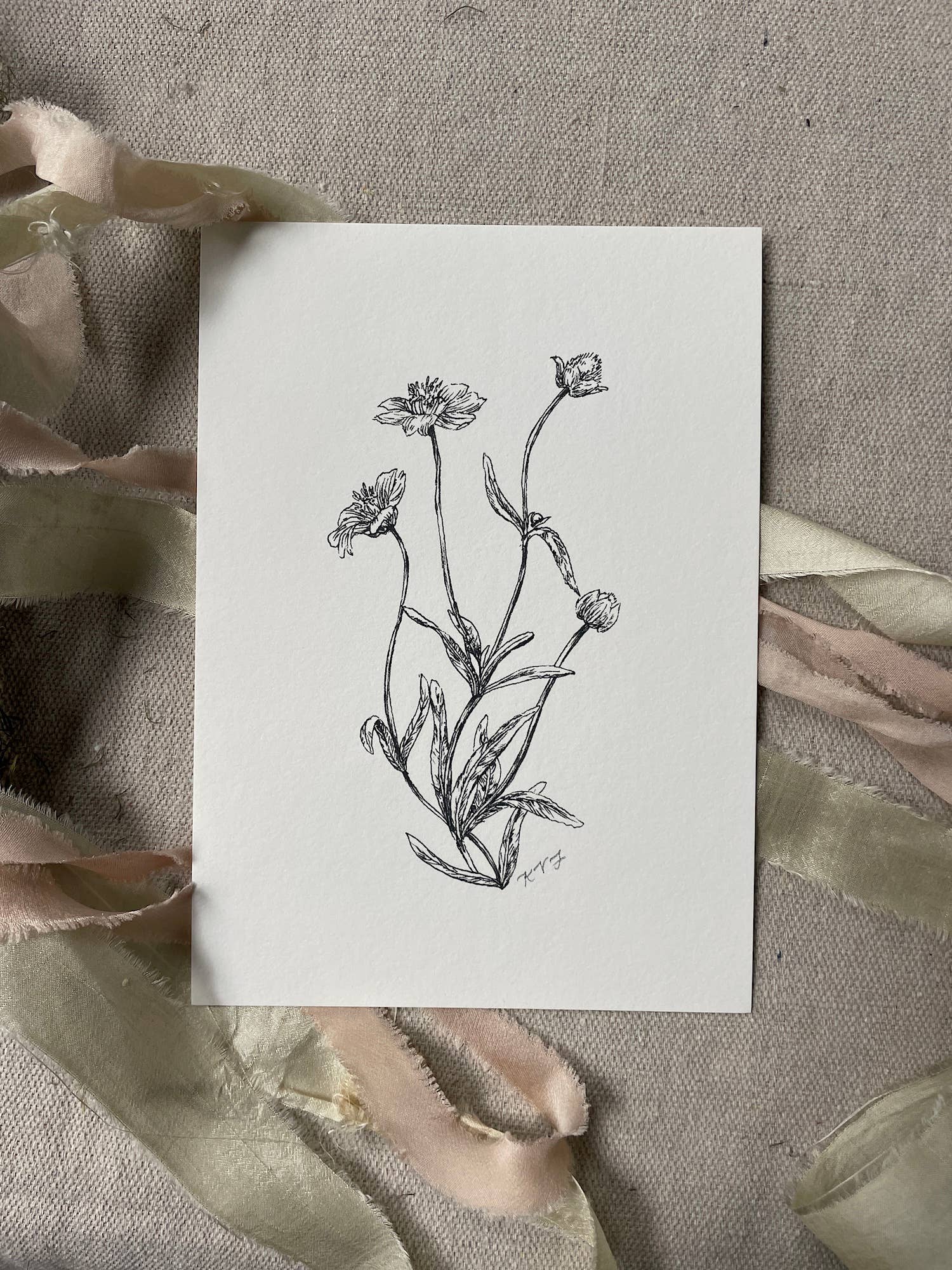 Kara Valentino Ffield Art - Wholesale Art Print - Daisy |  Art Print 7