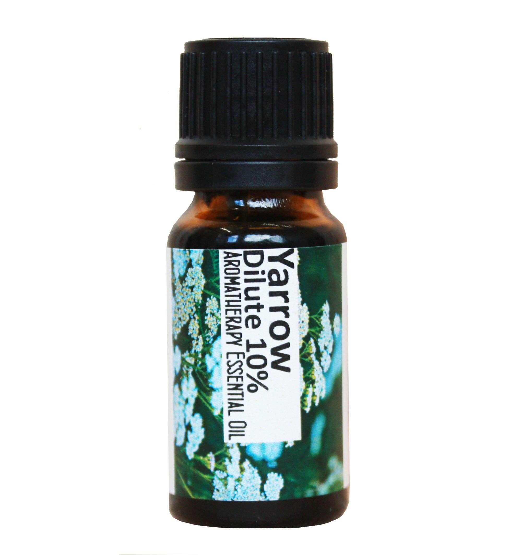 Regent House – wholesale Essential oil – Yarrow Dilute (10%) Essential Oil0