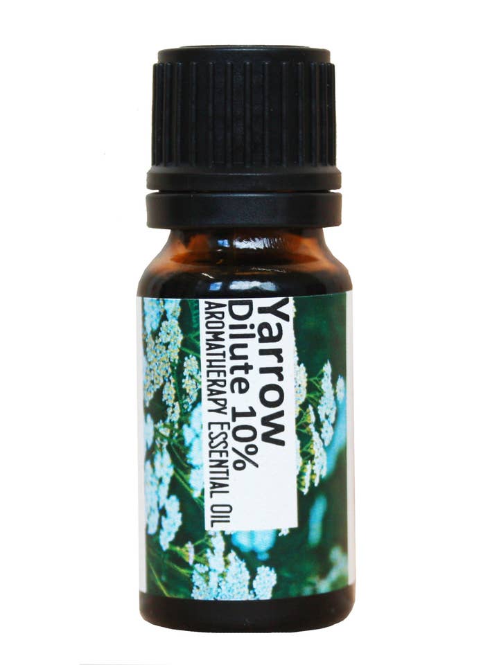 Yarrow Dilute (10%) Essential Oil for wholesale by Regent House