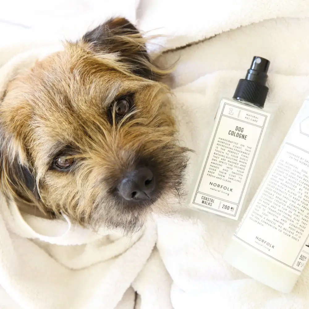 Norfolk Natural Living - Vente Spray – chien - Eau de Cologne pour chien - Coastal Walks 200 ml3