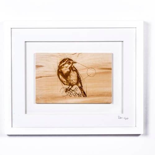 Robin enmarcado para venta al por mayor de CAULFIELD COUNTRY BOARDS