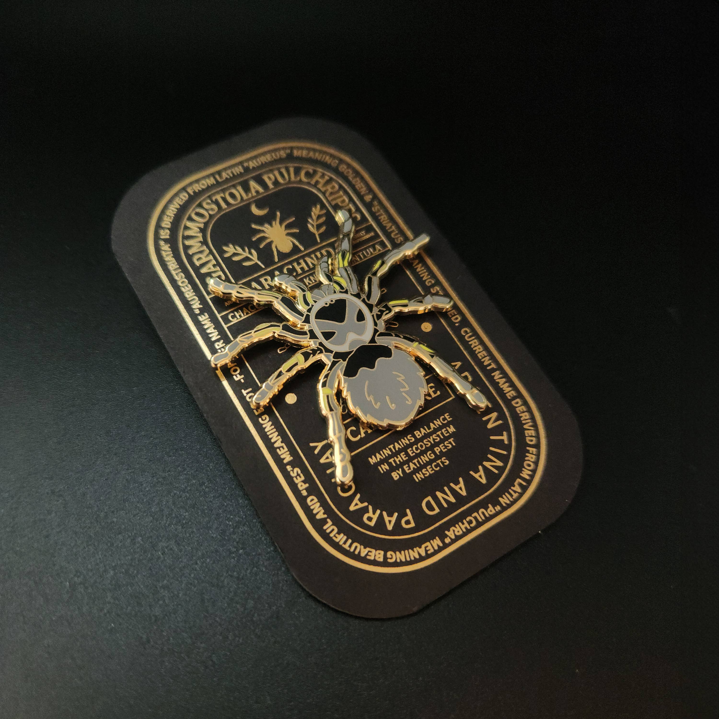 Pinsects - Wholesale Lapel Pin/Button - Chaco Golden Knee Tarantula Educational Insect Enamel Pin3