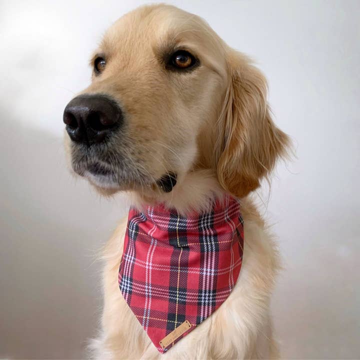 Dog Bandana - 'Red My Mind' - Red Plaid for wholesale by Leaf and Leash
