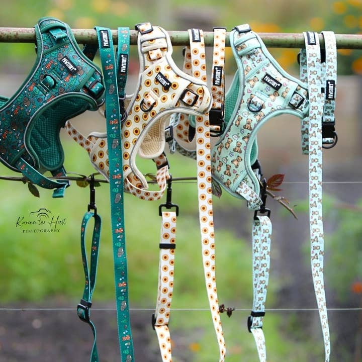 PawStory - Wholesale Pet Harness - Dog - Trail Buddy Harnass - Bear Hugs