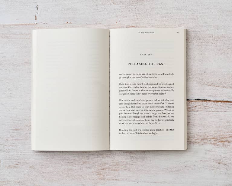 Thought Catalog - Wholesale Self-Help & Personal Development - The Mountain Is You - book7