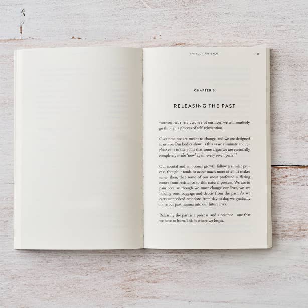 Thought Catalog - Wholesale Self-Help & Personal Development - The Mountain Is You - book7