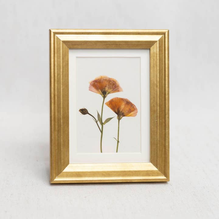 Hope Steinle Pressed Flower Art - Wholesale Art print - Blush & Bloom Framed Mini Print1