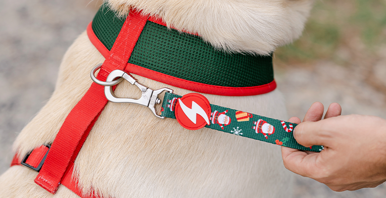 DASHI - Wholesale Pet Leash - Dog - Dashi Noel Leash Medium2