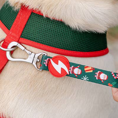 DASHI – wholesale Hundkoppel - Hund – Dashi Noel Koppel Medium2