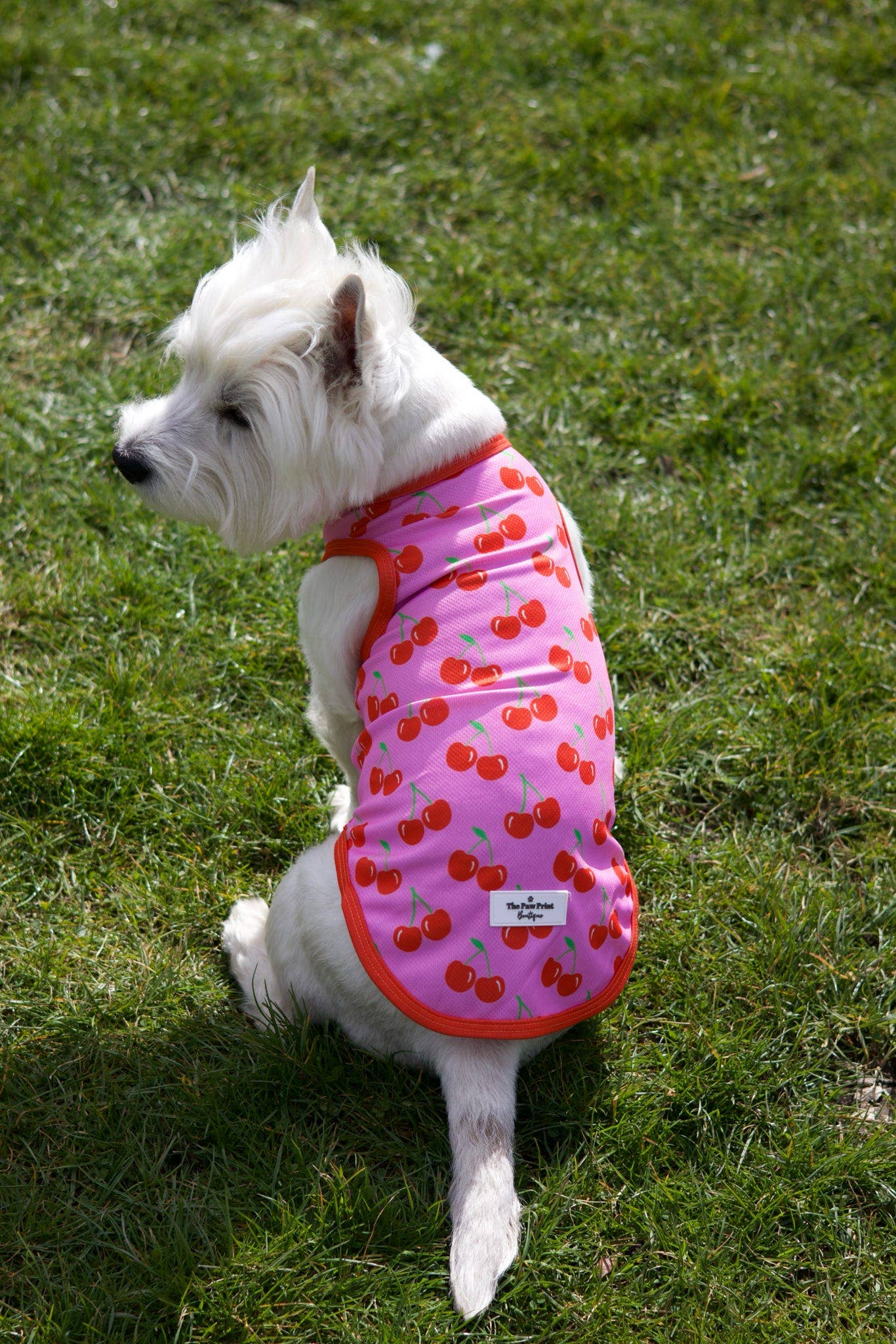 The Paw Print Boutique - Wholesale Pet Vest - Dog - The Cherry on Top Cooling Vest8