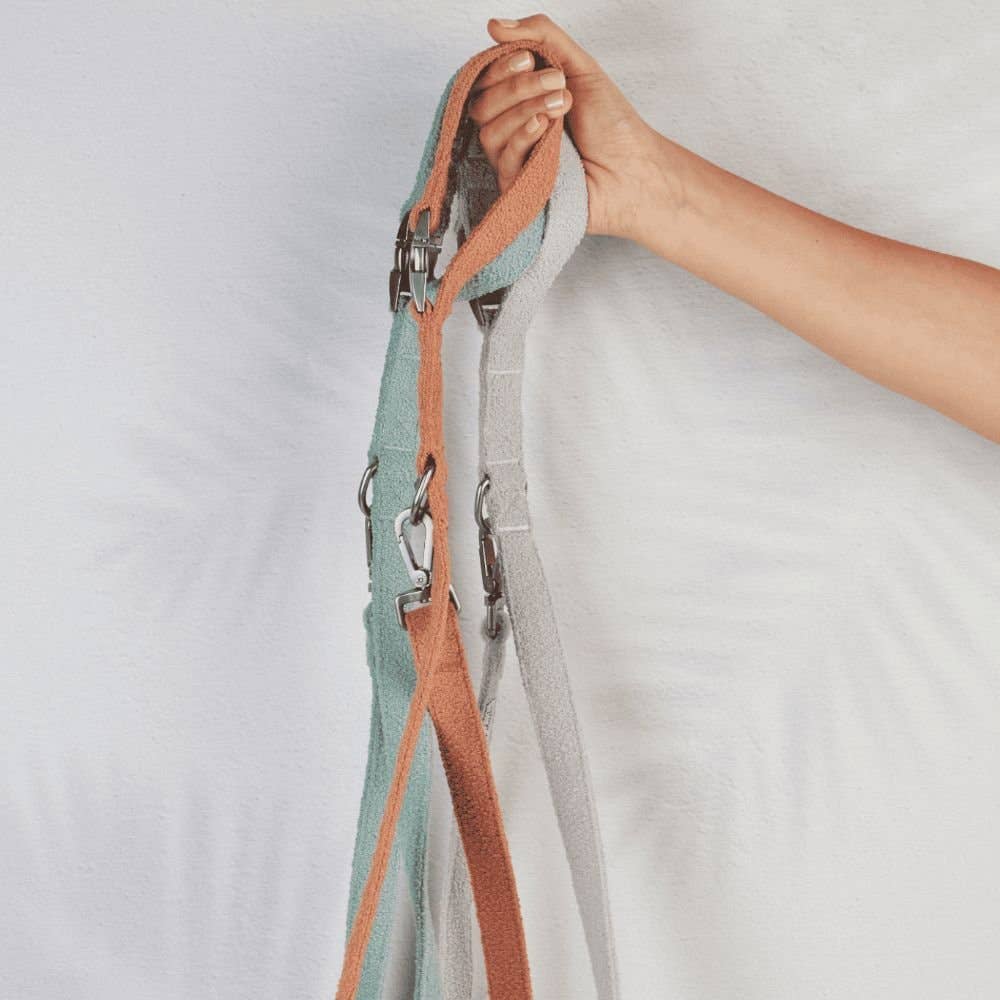 Lilly + Dash - Vente Laisse – chien - laisses5