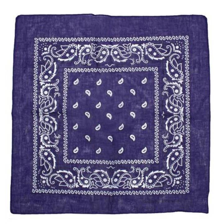Topkids Accessories – wholesale Bandana – Unisex – Paisley Bandanas Hair Bands Headbands Women Men Dogs Head Bands Festival Bike Accessories Face Masks Holiday Essentials Head Scarf
