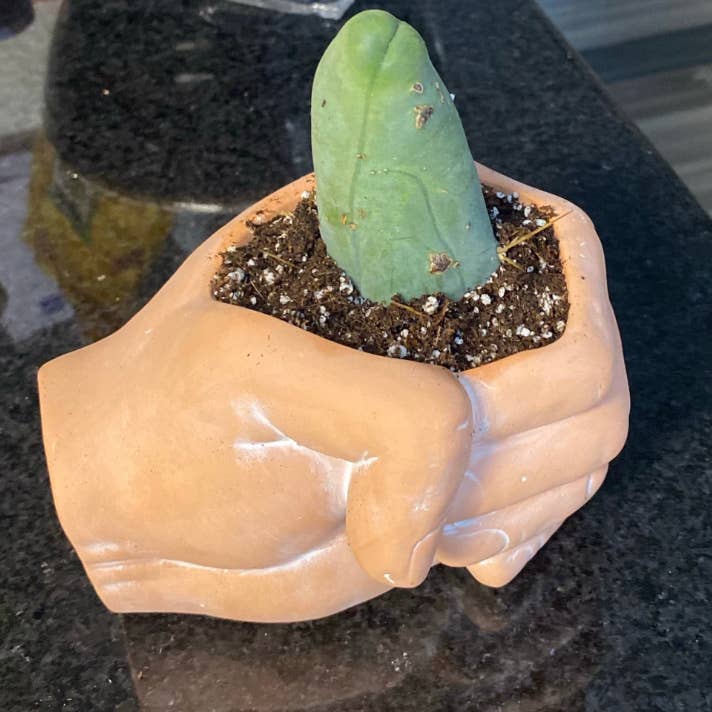 Simply Supplied Co - Venta al por mayor Macetas - Maceta de Barro Terracota Moderna Hecha a Mano | Regalo Bohemio | Divertido, Lindo9