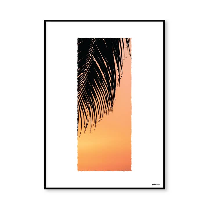Palm Sunset voor wholesale door Paradise Amsterdam