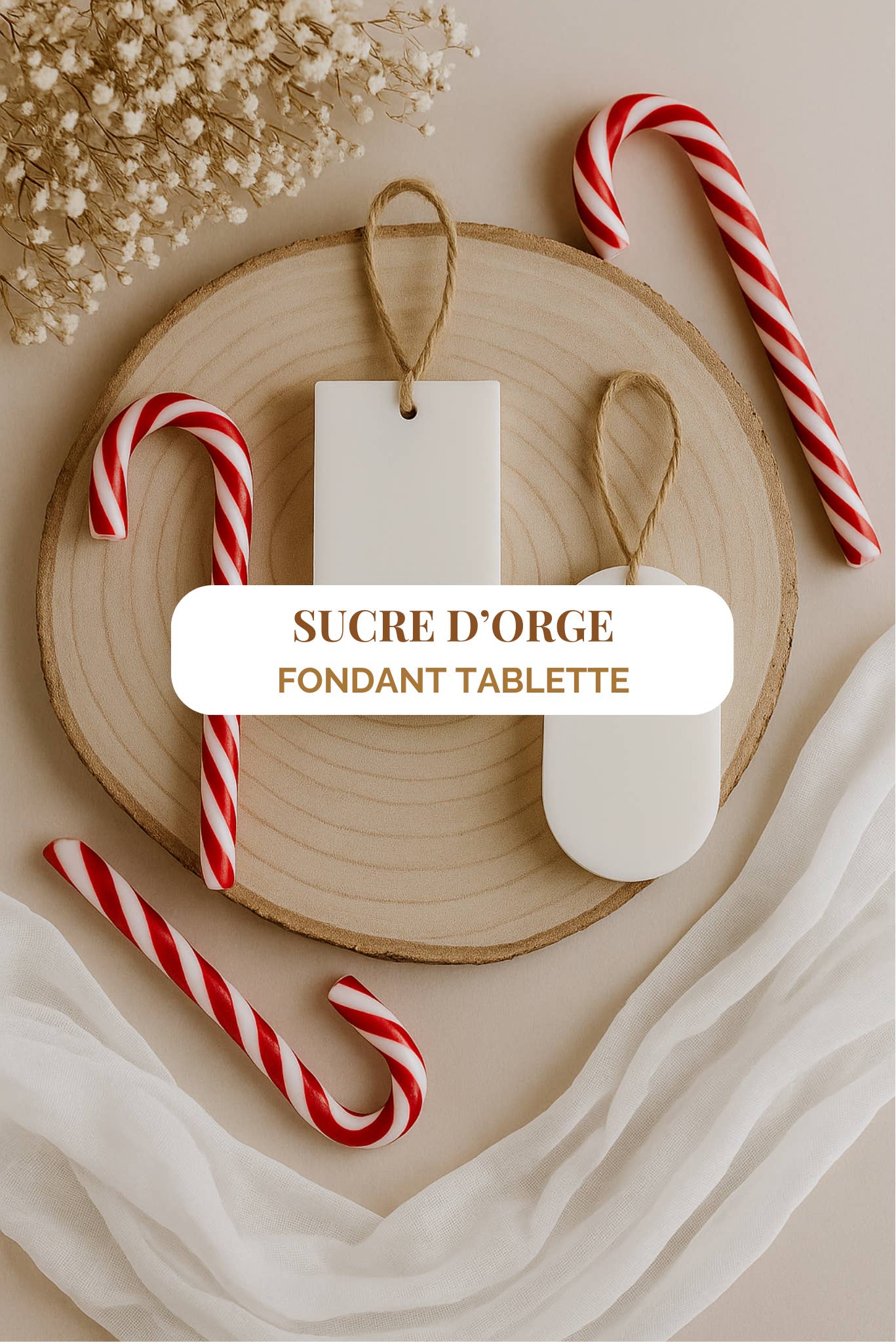 WILD CHILD Bougies & Co - Wholesale Wax Melt - “Cane d'Orge” scented wax tablet 10h