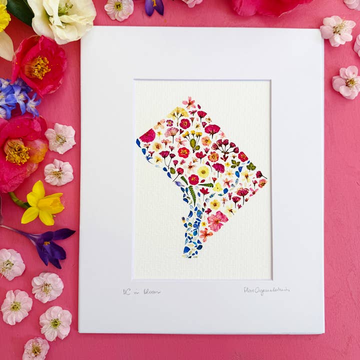 DC in Bloom signed matted print of Washington DC in pressed flowers for wholesale by FloreOrganicBotanics