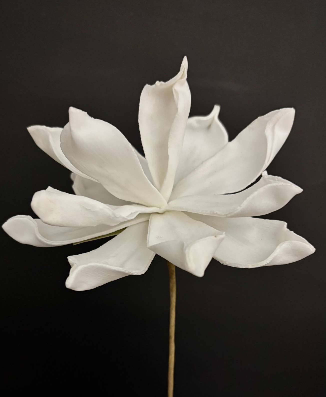 The Light Garden Collection - Wholesale Artificial Flowers - WHITE FLOWER