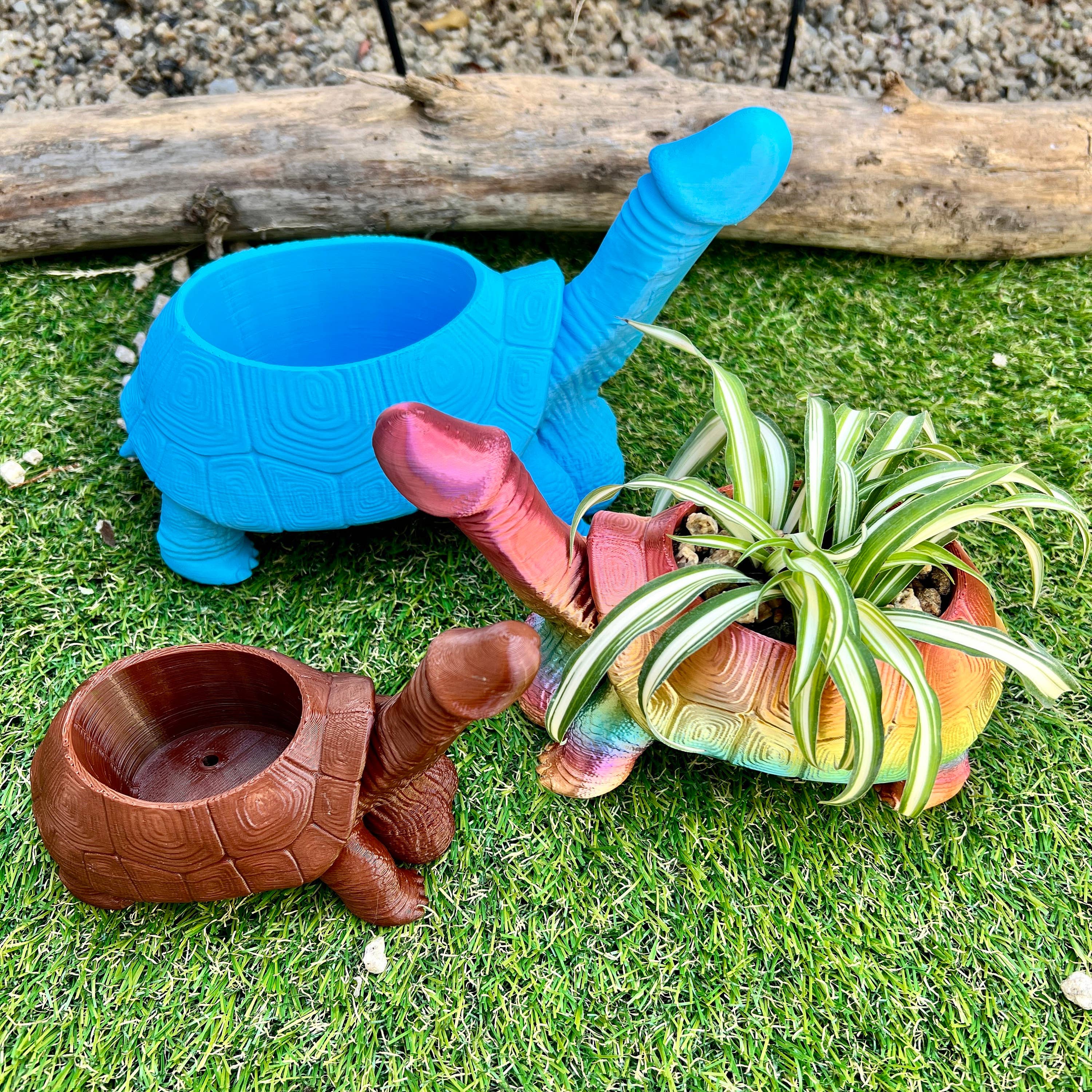 NumanPrints – wholesale Gag gift/novelty gift – Turtle Dick Planter 3D Printed Tortoise Penis Dickasaurus9