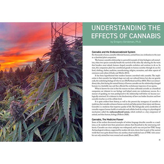 VisionWorks LLC - Wholesale Technology & Engineering - Cannabis Grower's Handbook, by Ed Rosenthal. 2