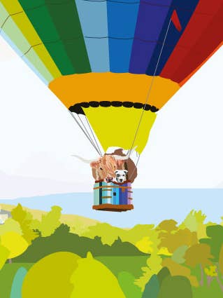 158C Balão/vaca highland/cachorro/junior/cartão de crianças/bonito por atacado de Periodic Society