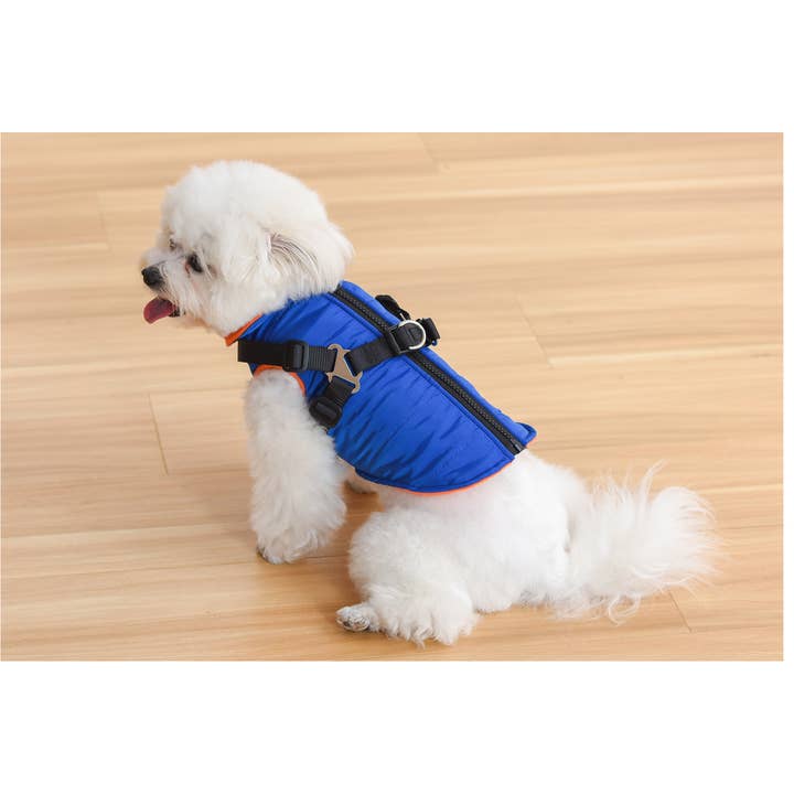Amomi - Wholesale Pet Raincoat - Dog - Dog anorak with harness.2