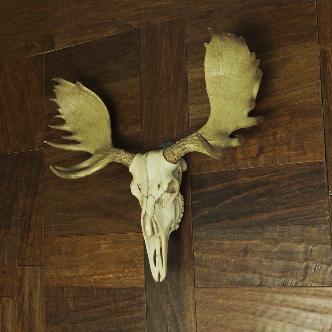 Zeckos - Wholesale Wall Accent - Large Lifelike Bull Moose Skull Hanging Wildlife Statue3