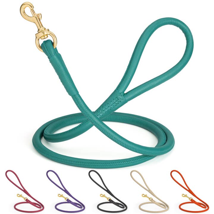 Rolled Leather Dog Leash with Brass Snap Hook for wholesale by Dogline