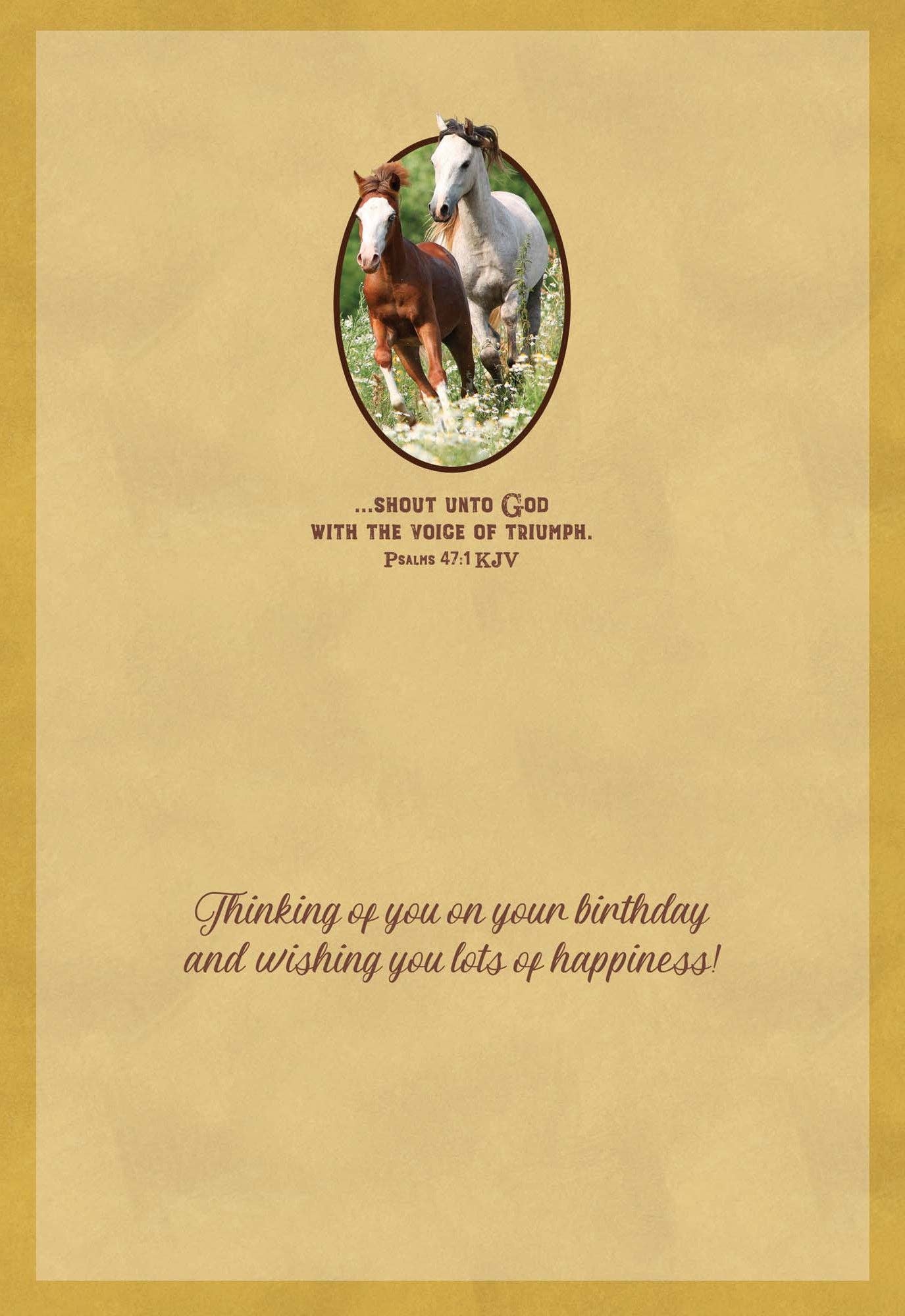 Crown Point Graphics - Wholesale Birthday Card - Celebrations -  48 Assorted Birthday Cards by Shared Blessings23