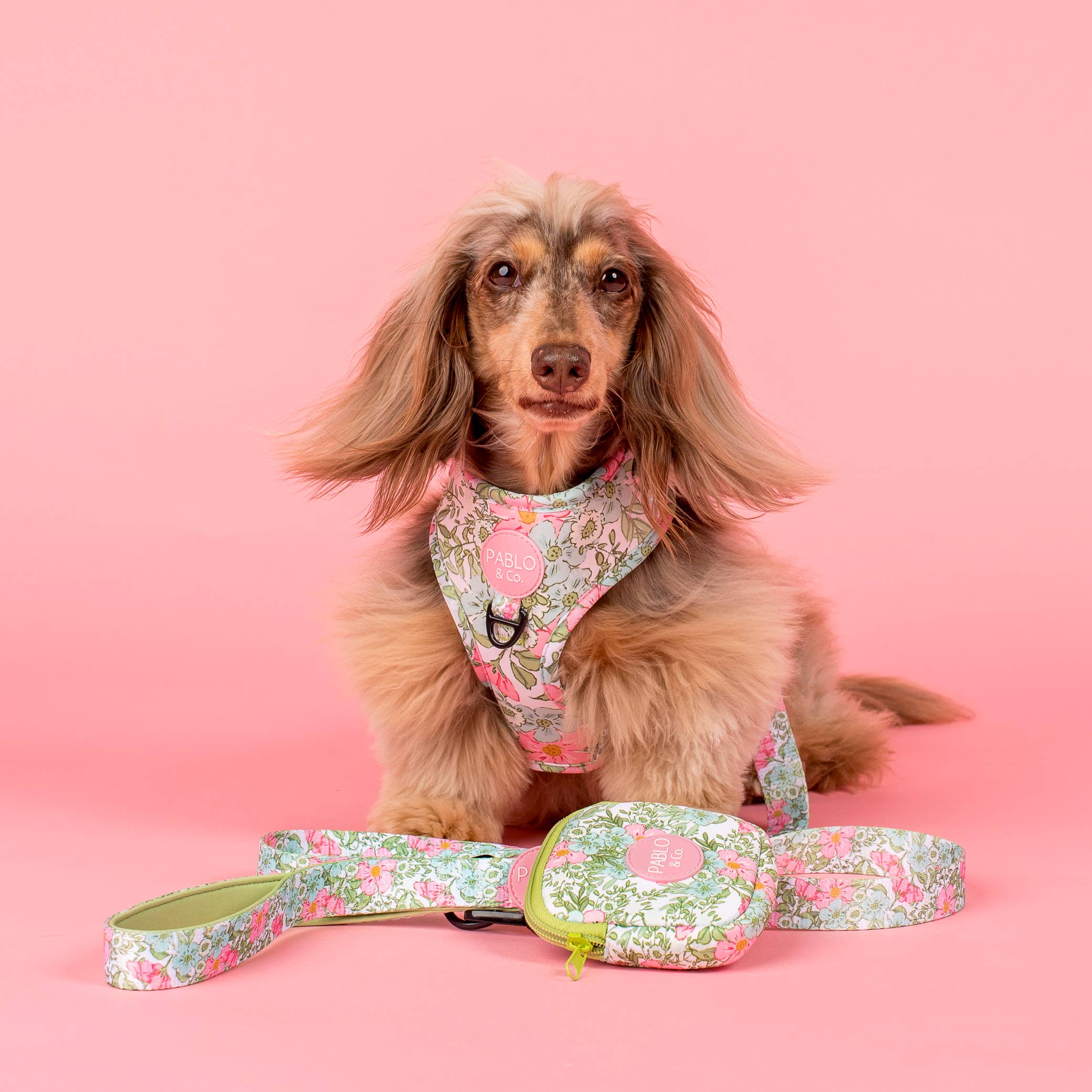 Pablo & Co. Boutique - Vente Harnais – chien - Harnais pour chien ajustable Flora & Fern6