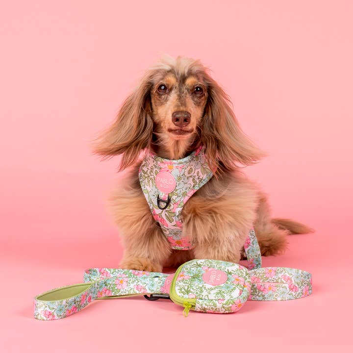Pablo & Co. Boutique - Vente Harnais – chien - Harnais pour chien ajustable Flora & Fern6