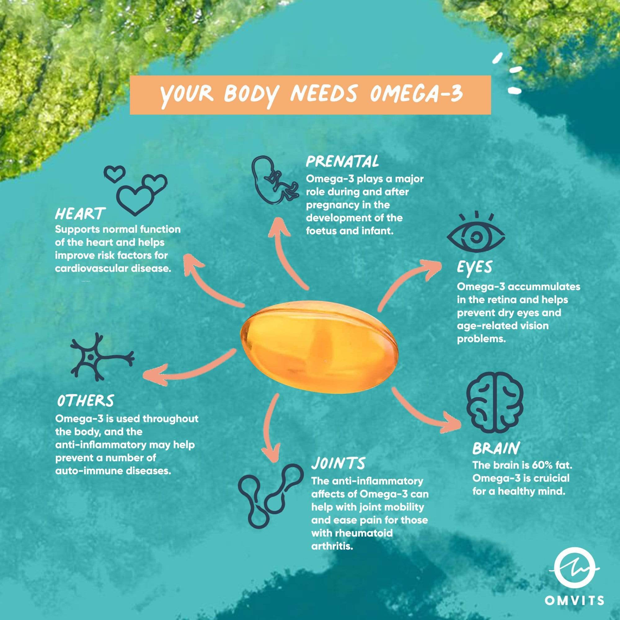 Omvits - Venta al por mayor Suplementos/vitaminas para beber - Omega 3 DHA vegano - Recarga triple6