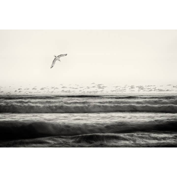 Neutral Cape Cod Seascape: Black and White Coastal Art Print for wholesale by Brooke T Ryan Photographic Art