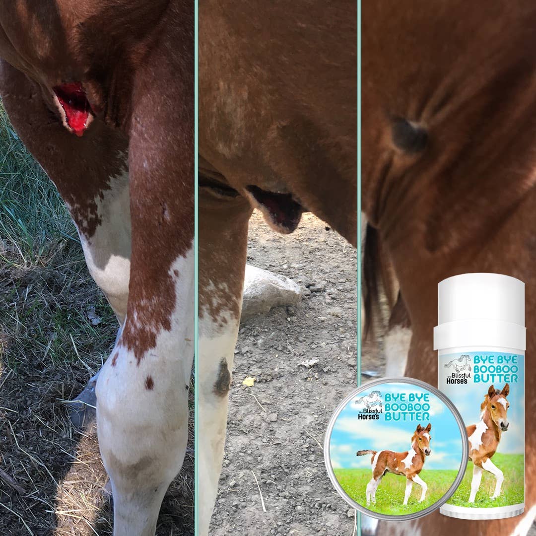 The Blissful Dog - Wholesale Pet Balm - Dog - The Blissful Horses Boo Boo Butter in Tins & Tubes6