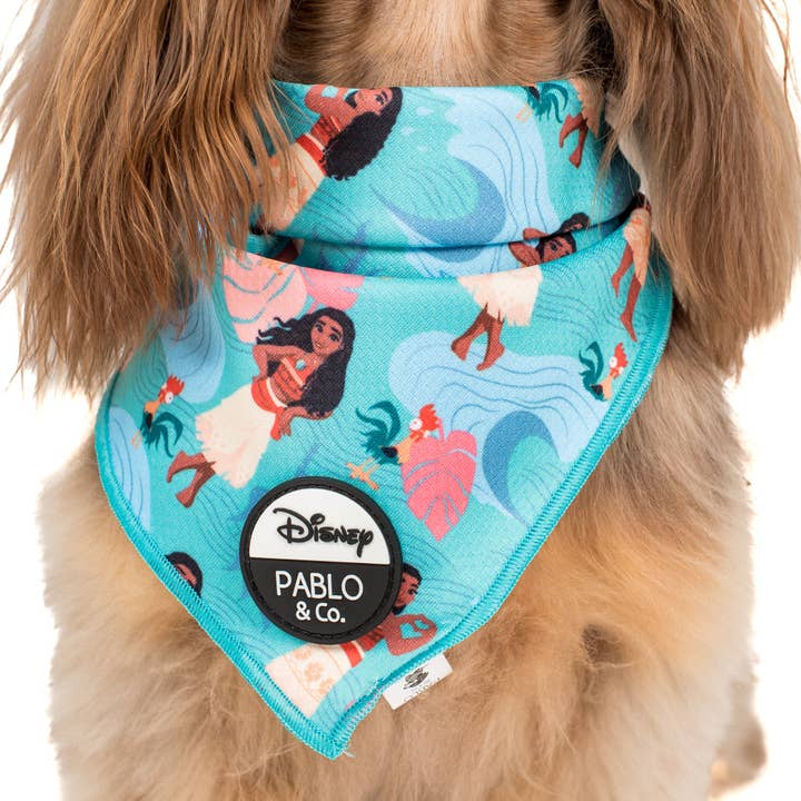 Pablo & Co. Boutique - Wholesale Pet Bandana - Dog - Moana: Dog Bandana1