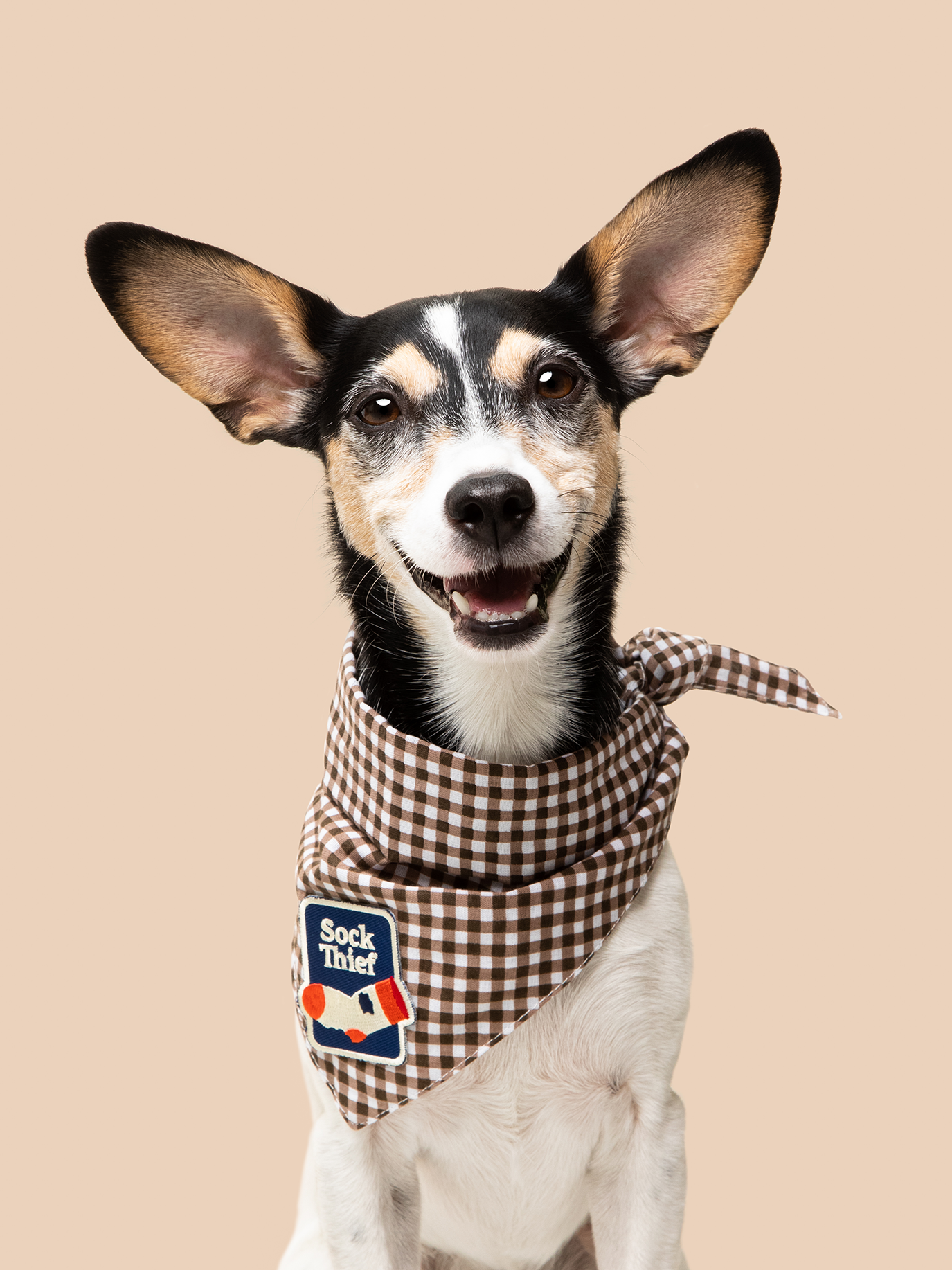 Scout's Honour Pty Ltd – wholesale Pet bandana – Dog – Brown Gingham Scout Bandana for dogs1