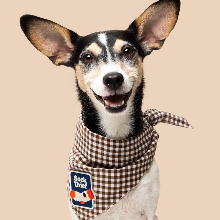 Scout's Honour Pty Ltd - Wholesale Pet bandana – Dog - Sock Thief iron-on patch for dogs and cats3