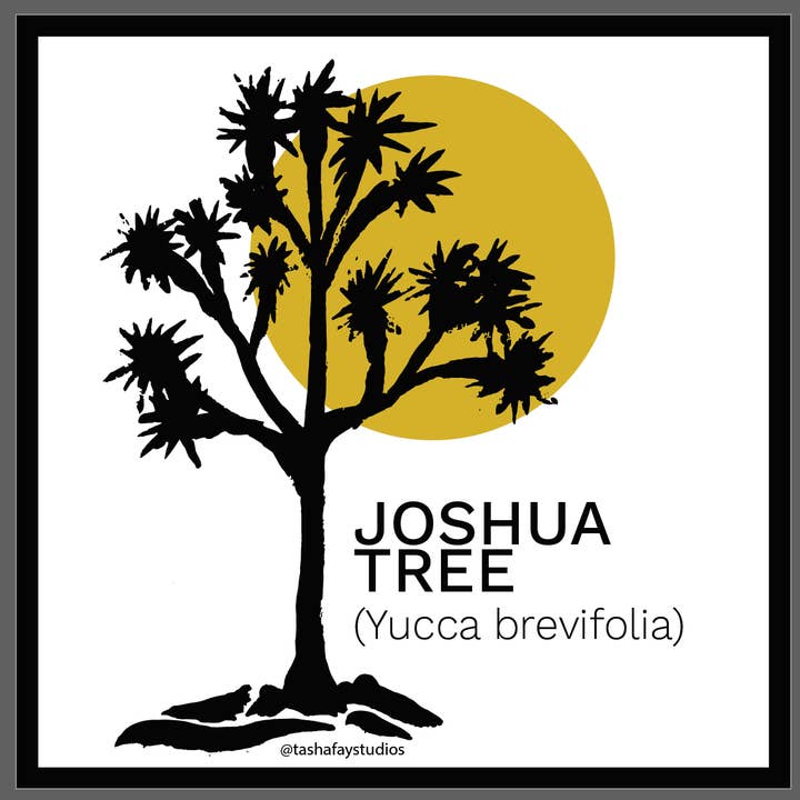 3" Joshua Tree Plant Fridge Magnet for wholesale by Tasha Fay