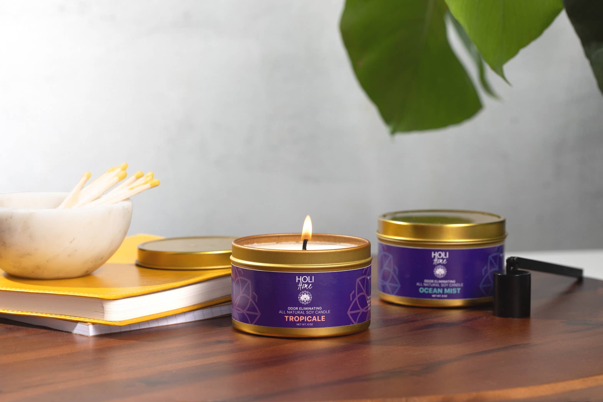 HOLI - Wholesale Jar/Filled Candle - HOLI - All Natural Soy Wax - Pet Odor Eliminator Candle3