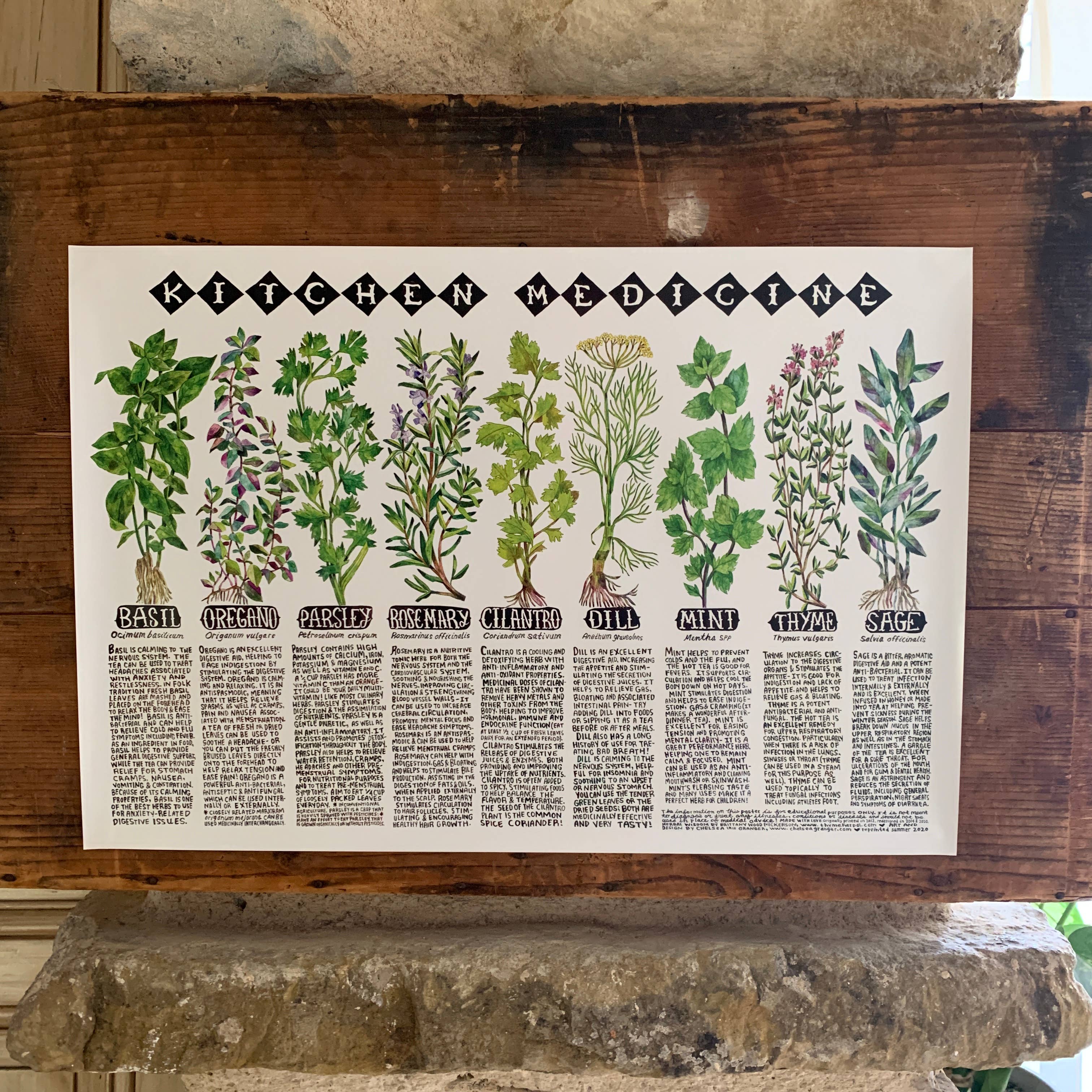 Thyme Herbal – wholesale Poster – Kitchen Medicine affisch2