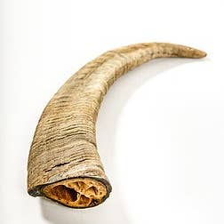 QT Dog, LLC - Wholesale Pet Chew Toy - Dog - Gobi Goat Horn1