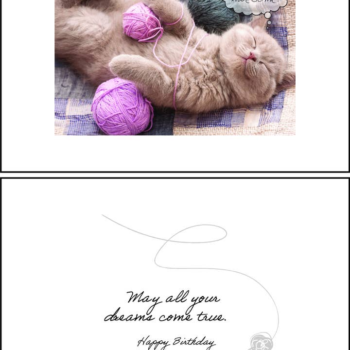 Dog Speak - Wholesale Verjaardagskaartje - Birthday Cat - Yarn Balls... GEWELDIG!1