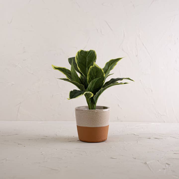 Foreside Home & Garden - Wholesale Plant Pot - Kacy Planter Gray