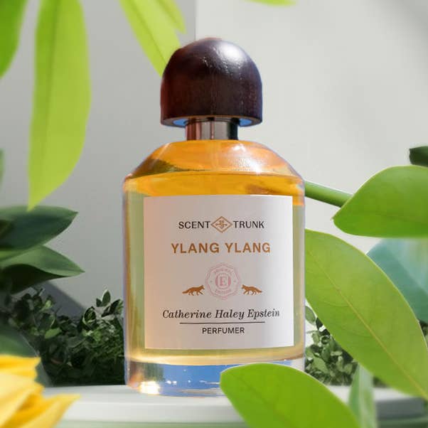 Ylang Ylang for wholesale by Scent Trunk