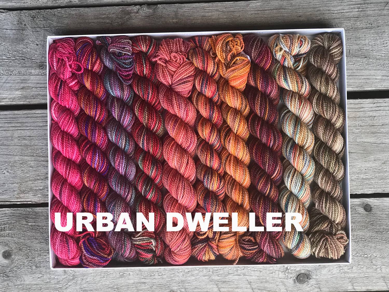 Koigu Wool Designs - Vente Fils à tricoter - Coffret de laine Koigu Pencil Box groupe 121